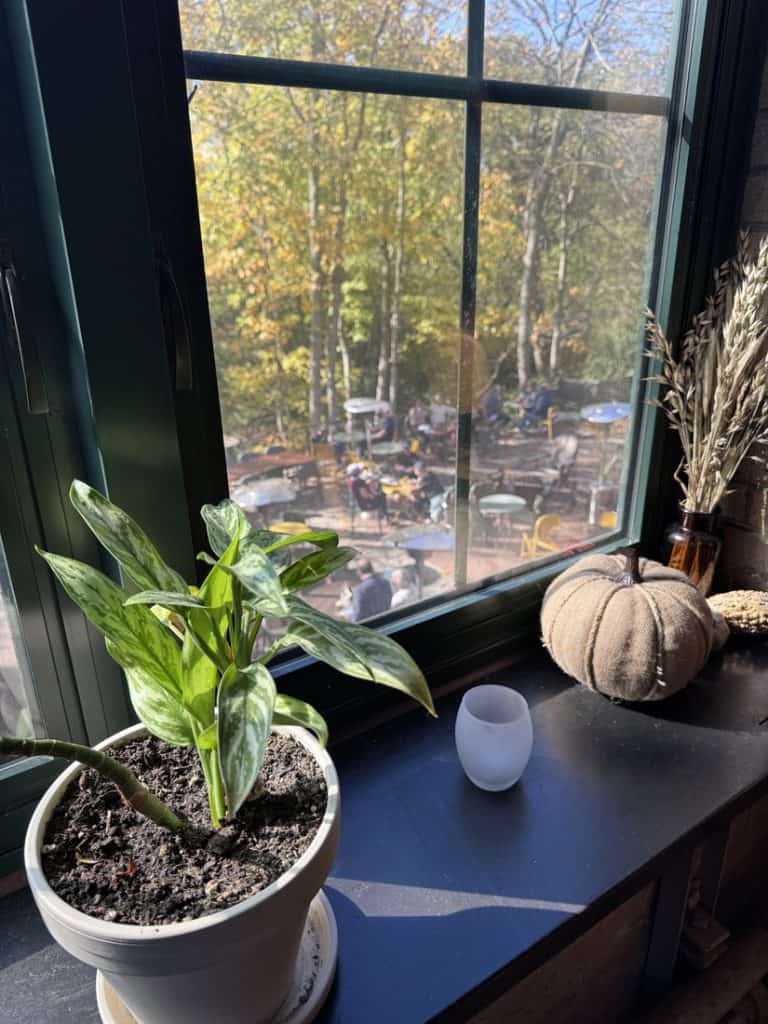 Understory Patio Looking From Lounge